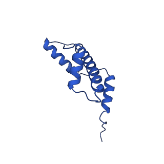 41708_8txx_A_v1-2
Cryo-EM structure of the human nucleosome core particle ubiquitylated at histone H2A K15 in complex with RNF168 (Class 3)