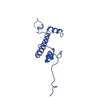 41708_8txx_C_v1-2
Cryo-EM structure of the human nucleosome core particle ubiquitylated at histone H2A K15 in complex with RNF168 (Class 3)