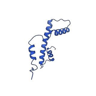 41708_8txx_E_v1-1
Cryo-EM structure of the human nucleosome core particle ubiquitylated at histone H2A K15 in complex with RNF168 (Class 3)