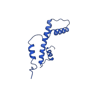 41708_8txx_E_v1-2
Cryo-EM structure of the human nucleosome core particle ubiquitylated at histone H2A K15 in complex with RNF168 (Class 3)