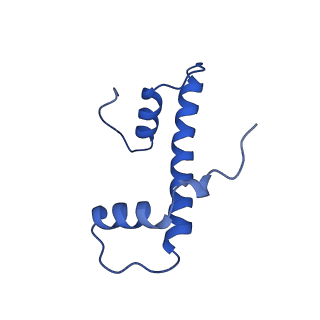 41708_8txx_F_v1-2
Cryo-EM structure of the human nucleosome core particle ubiquitylated at histone H2A K15 in complex with RNF168 (Class 3)