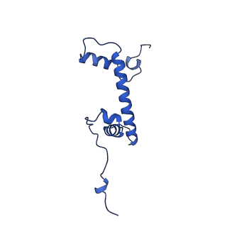 41708_8txx_G_v1-2
Cryo-EM structure of the human nucleosome core particle ubiquitylated at histone H2A K15 in complex with RNF168 (Class 3)