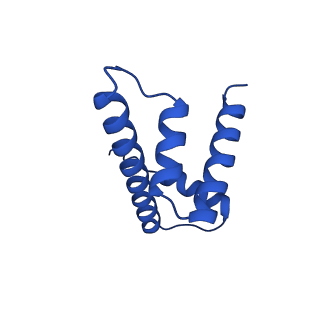 41708_8txx_H_v1-2
Cryo-EM structure of the human nucleosome core particle ubiquitylated at histone H2A K15 in complex with RNF168 (Class 3)