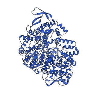 20581_6ty8_A_v1-1
In situ structure of BmCPV RNA dependent RNA polymerase at quiescent state