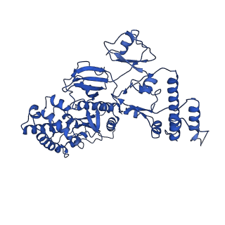 20581_6ty8_B_v1-1
In situ structure of BmCPV RNA dependent RNA polymerase at quiescent state