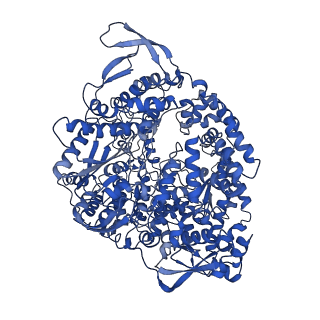 20582_6ty9_A_v1-1
In situ structure of BmCPV RNA dependent RNA polymerase at initiation state