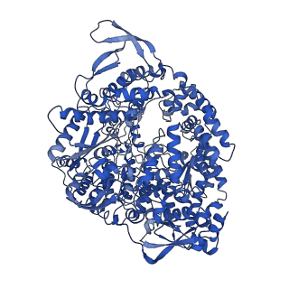 20582_6ty9_A_v1-2
In situ structure of BmCPV RNA dependent RNA polymerase at initiation state