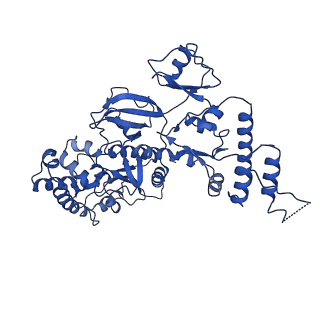 20582_6ty9_B_v1-1
In situ structure of BmCPV RNA dependent RNA polymerase at initiation state