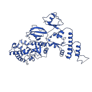 20582_6ty9_B_v1-2
In situ structure of BmCPV RNA dependent RNA polymerase at initiation state