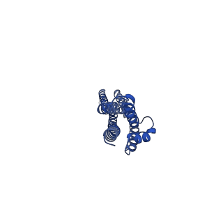 20583_6tyi_B_v1-2
ExbB-ExbD complex in MSP1E3D1 nanodisc