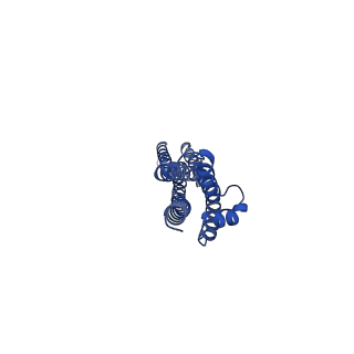 20583_6tyi_B_v1-3
ExbB-ExbD complex in MSP1E3D1 nanodisc