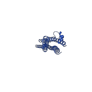 20583_6tyi_C_v1-3
ExbB-ExbD complex in MSP1E3D1 nanodisc