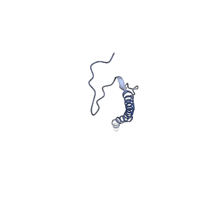 26163_7ty0_A_v1-2
Nipah Virus attachment (G) glycoprotein ectodomain in complex with nAH1.3 neutralizing antibody Fab fragment (local refinement of the stalk region)