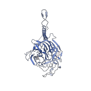 26163_7ty0_C_v1-2
Nipah Virus attachment (G) glycoprotein ectodomain in complex with nAH1.3 neutralizing antibody Fab fragment (local refinement of the stalk region)