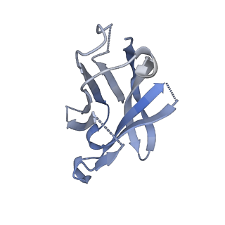 26163_7ty0_J_v1-2
Nipah Virus attachment (G) glycoprotein ectodomain in complex with nAH1.3 neutralizing antibody Fab fragment (local refinement of the stalk region)
