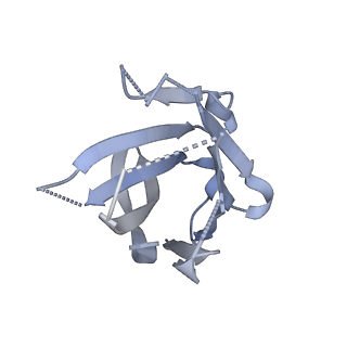 26163_7ty0_K_v1-2
Nipah Virus attachment (G) glycoprotein ectodomain in complex with nAH1.3 neutralizing antibody Fab fragment (local refinement of the stalk region)