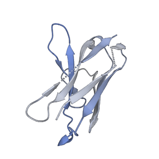 26163_7ty0_N_v1-2
Nipah Virus attachment (G) glycoprotein ectodomain in complex with nAH1.3 neutralizing antibody Fab fragment (local refinement of the stalk region)