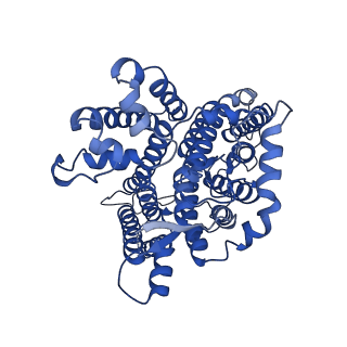 26165_7ty4_A_v1-3
Cryo-EM structure of human Anion Exchanger 1