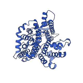 26165_7ty4_B_v1-3
Cryo-EM structure of human Anion Exchanger 1