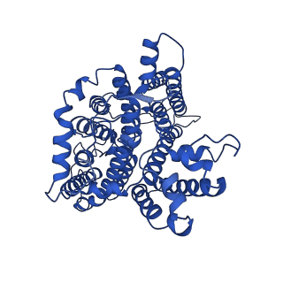 26167_7ty6_A_v1-3
Cryo-EM structure of human Anion Exchanger 1 bound to 4,4'-Diisothiocyanatodihydrostilbene-2,2'-Disulfonic Acid (H2DIDS)