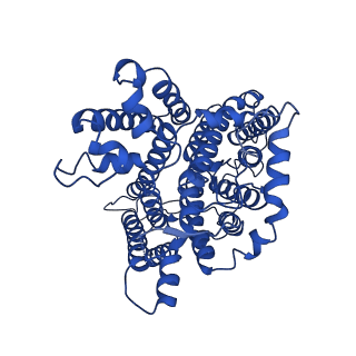 26167_7ty6_B_v1-3
Cryo-EM structure of human Anion Exchanger 1 bound to 4,4'-Diisothiocyanatodihydrostilbene-2,2'-Disulfonic Acid (H2DIDS)