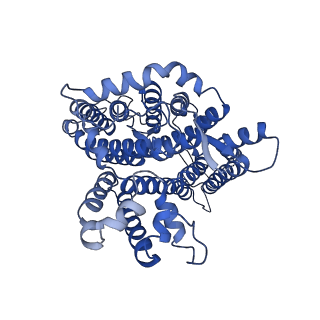 26168_7ty7_A_v1-3
Cryo-EM structure of human Anion Exchanger 1 bound to Bicarbonate