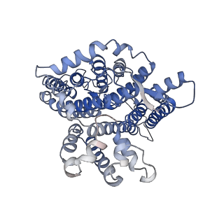 26169_7ty8_A_v1-3
Cryo-EM structure of human Anion Exchanger 1 bound to Niflumic Acid