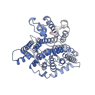 26169_7ty8_B_v1-3
Cryo-EM structure of human Anion Exchanger 1 bound to Niflumic Acid