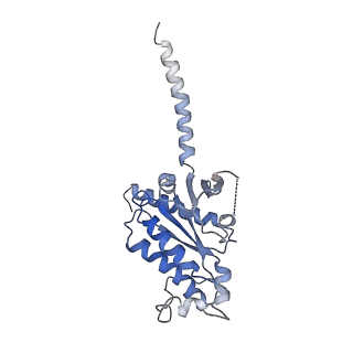 26179_7tyh_A_v1-1
Human Amylin2 Receptor in complex with Gs and human calcitonin peptide