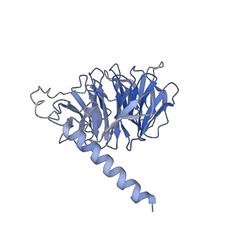 26179_7tyh_B_v1-1
Human Amylin2 Receptor in complex with Gs and human calcitonin peptide