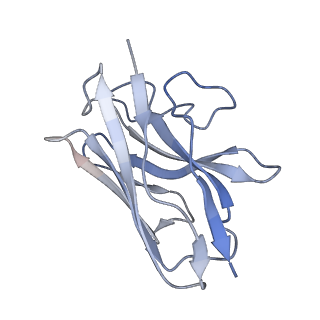 26179_7tyh_N_v1-1
Human Amylin2 Receptor in complex with Gs and human calcitonin peptide