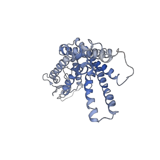 26179_7tyh_R_v1-1
Human Amylin2 Receptor in complex with Gs and human calcitonin peptide