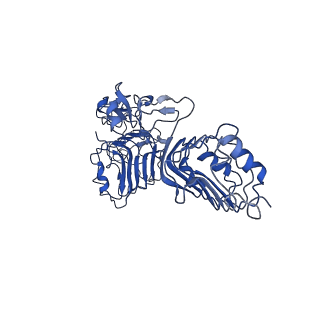26181_7tyj_A_v1-3
Cryo-EM Structure of insulin receptor-related receptor (IRR) in apo-state captured at pH 7. The 3D refinement was focused on one of two halves with C1 symmetry applied