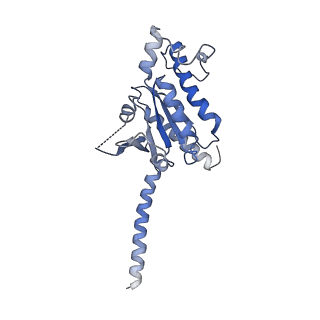 26190_7tyo_A_v1-1
Calcitonin receptor in complex with Gs and human calcitonin peptide