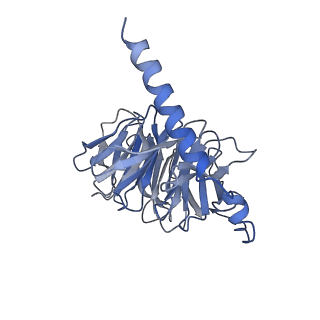 26190_7tyo_B_v1-1
Calcitonin receptor in complex with Gs and human calcitonin peptide
