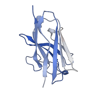 26190_7tyo_N_v1-1
Calcitonin receptor in complex with Gs and human calcitonin peptide