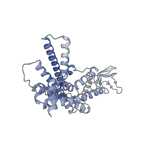 26190_7tyo_R_v1-1
Calcitonin receptor in complex with Gs and human calcitonin peptide