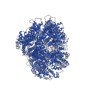 26192_7tyr_A_v1-1
Cryo-EM structure of the basal state of the Artemis:DNA-PKcs complex (see COMPND 13/14)