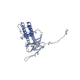 26193_7tys_A_v1-1
Cryo-EM structure of the pancreatic ATP-sensitive potassium channel bound to ATP and repaglinide with Kir6.2-CTD in the up conformation