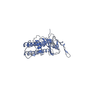 26193_7tys_B_v1-1
Cryo-EM structure of the pancreatic ATP-sensitive potassium channel bound to ATP and repaglinide with Kir6.2-CTD in the up conformation