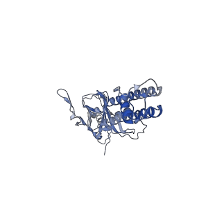 26193_7tys_D_v1-1
Cryo-EM structure of the pancreatic ATP-sensitive potassium channel bound to ATP and repaglinide with Kir6.2-CTD in the up conformation