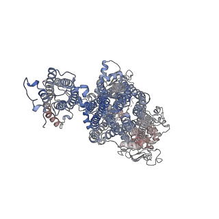 26193_7tys_E_v1-1
Cryo-EM structure of the pancreatic ATP-sensitive potassium channel bound to ATP and repaglinide with Kir6.2-CTD in the up conformation