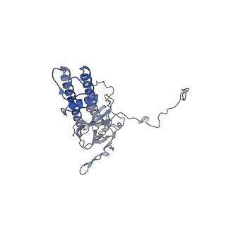26194_7tyt_A_v1-1
Cryo-EM structure of the pancreatic ATP-sensitive potassium channel bound to ATP and repaglinide with Kir6.2-CTD in the down conformation