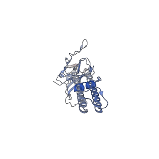 26194_7tyt_C_v1-1
Cryo-EM structure of the pancreatic ATP-sensitive potassium channel bound to ATP and repaglinide with Kir6.2-CTD in the down conformation