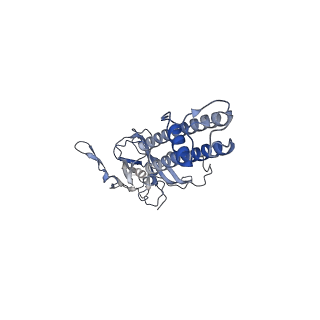 26194_7tyt_D_v1-1
Cryo-EM structure of the pancreatic ATP-sensitive potassium channel bound to ATP and repaglinide with Kir6.2-CTD in the down conformation