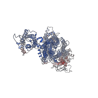26194_7tyt_E_v1-1
Cryo-EM structure of the pancreatic ATP-sensitive potassium channel bound to ATP and repaglinide with Kir6.2-CTD in the down conformation