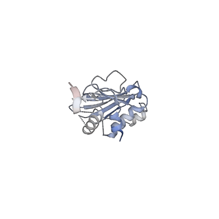 26195_7tyv_B_v1-1
Structure of Lassa Virus glycoprotein (Josiah) bound to Fab 25.10C