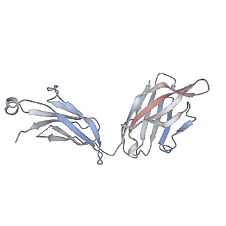 26195_7tyv_D_v1-1
Structure of Lassa Virus glycoprotein (Josiah) bound to Fab 25.10C