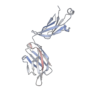 26195_7tyv_G_v1-1
Structure of Lassa Virus glycoprotein (Josiah) bound to Fab 25.10C