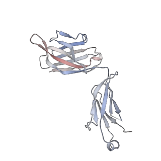 26195_7tyv_H_v1-1
Structure of Lassa Virus glycoprotein (Josiah) bound to Fab 25.10C